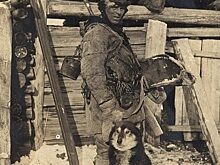 Что сибирский охотник никогда не сделает