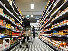 Минфин России оценит программу «продовольственных карточек»