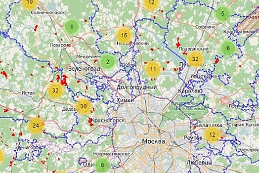 Границы лесного фонда нанесли на публичную карту Подмосковья