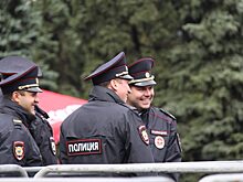 Курская полиция приглашает на работу водителя, кинолога и кавалериста