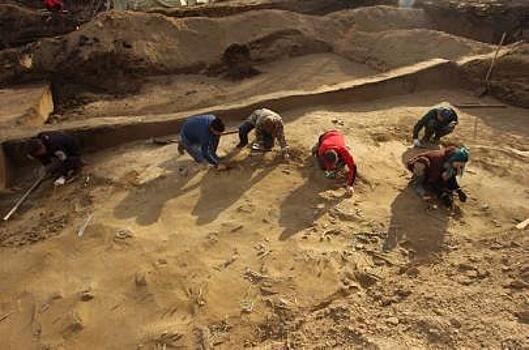 Ученые из России обнаружили в предгорьях северного Тянь-Шаня древние стоянки