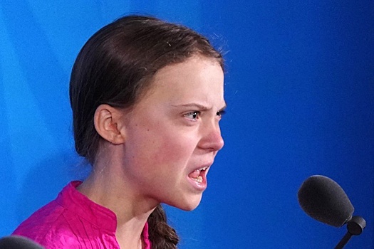 The Guardian: Тунберг рассказала о сыпи из-за клопов в израильской камере