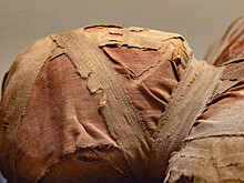 Раскрыто настоящее происхождение «инопланетян» из Перу