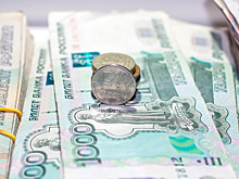 Деньги на поддержку села «окрасят»