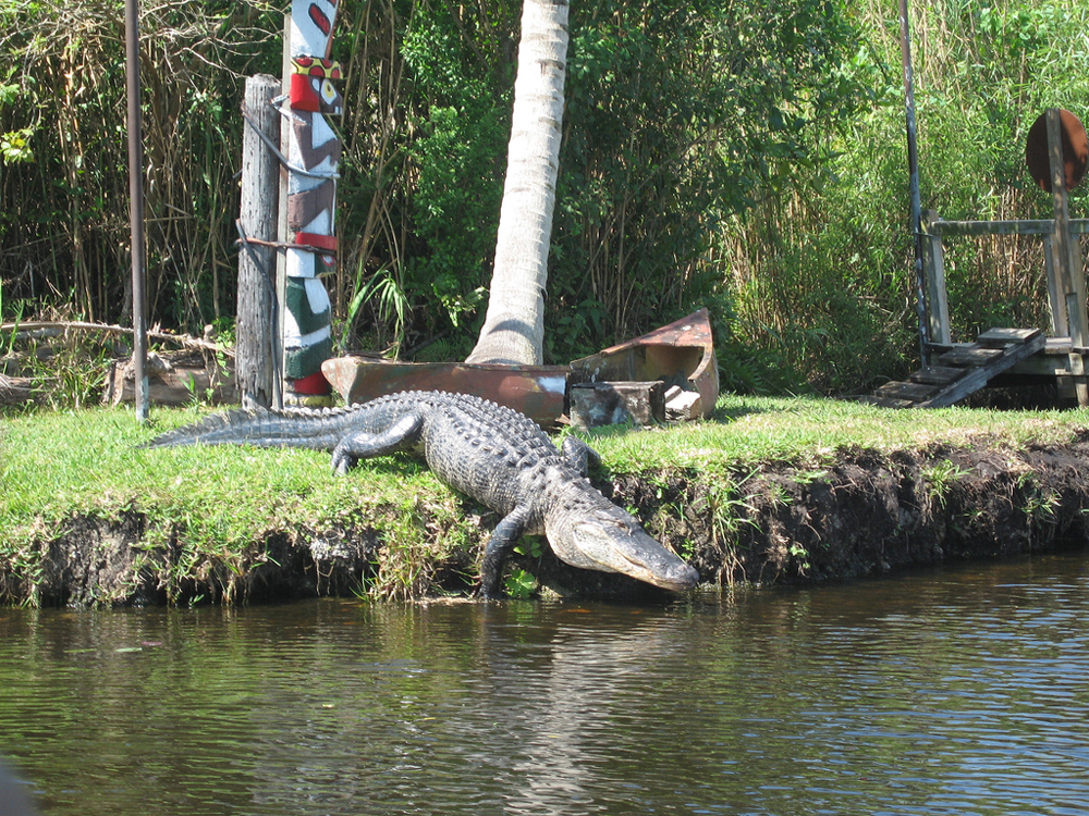 Сафари-парк Everglades, Соединенные Штаты, Соединенные Штаты