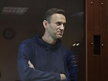 Генпрокуратуру России просят признать Навального иностранным агентом
