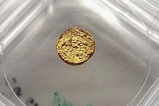 В Швейцарии создали «пластмассовое золото»