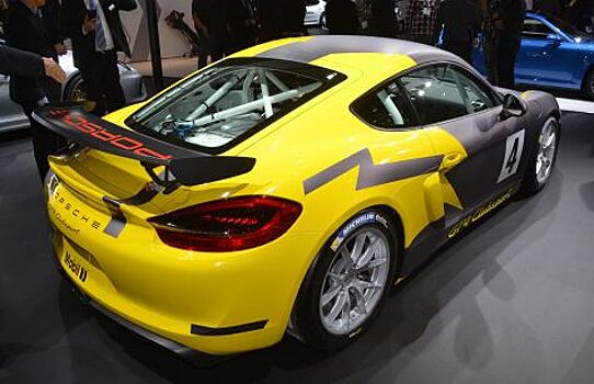 Porsche готовит автомобиль для ралли