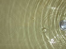 В Пензе так и не решили проблему с газом на Аустрина, 152