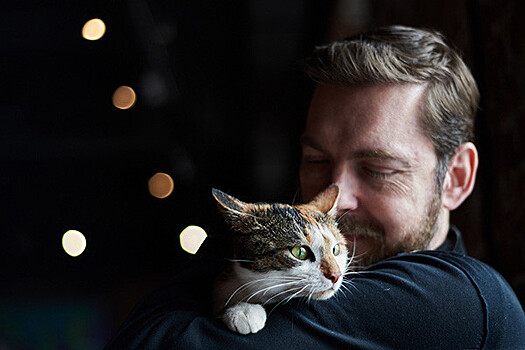 В Москве прошла выставка-раздача бездомных кошек «Всем по котику»: фотогалерея