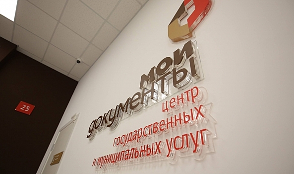 За год жители Волгоградской области получили в МФЦ более 1,5 млн услуг