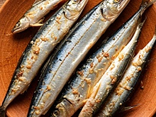 В России прогнозируют возобновление промысла сайры