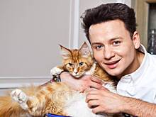 Александр Олешко: Грим для роли Немировича-Данченко занимал всего шесть минут