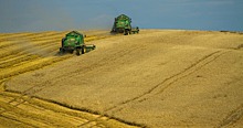 Доклад ФАО о положении дел на рынках продовольствия: агропродовольственные системы находятся на пределе
