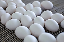 В Союзе потребителей прокомментировали ситуацию с ценами на яйца