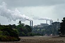 Новая Зеландия анонсировала крупнейший в своей истории проект по сокращению выбросов: Новости ➕1, 22.05.2023
