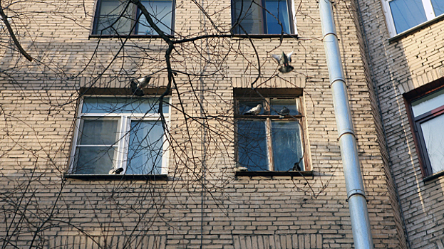 Петербургские депутаты снова просят Госдуму пересмотреть нормы закона о реновации хрущёвок