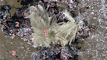 Геологи нашли в Якутии уникальный минерал