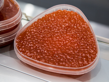 Малышева научила кузбассовцев легко проверять любимое новогоднее угощение