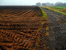 В Госдуме хотят регламентировать на федеральном уровне выдачу земельных участков участникам СВО