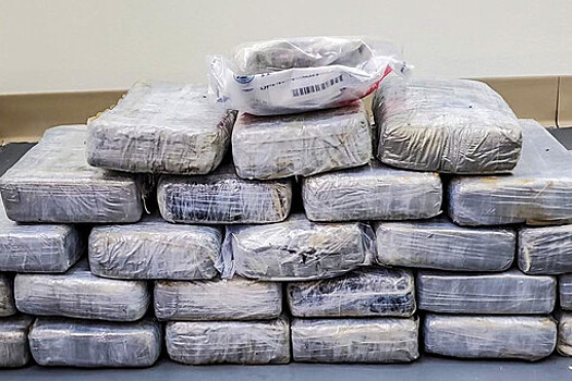 Parisien: таможенники нашли 1,5 тонны кокаина у водителя грузовика вблизи Парижа