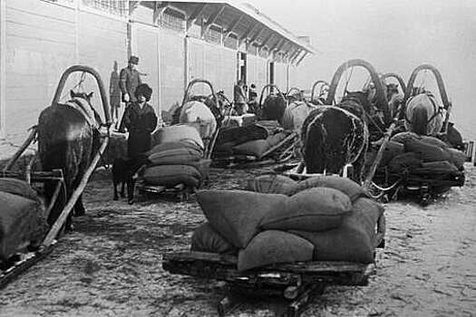 11 января 1919 года в России началась продразверстка