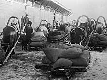 11 января 1919 года в России началась продразверстка