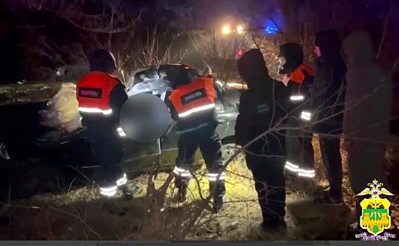 Водитель иномарки влетел в дерево и погиб около хутора Тверской на Кубани