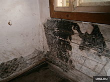 Тюменские власти продают сгнившее заплесневелое имущество за сотни тысяч рублей