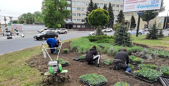 В Ростове продолжается цветочное оформление города