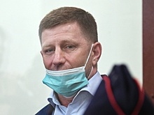Хабаровский бизнес-омбудсмен поддержал позицию следствия в деле Фургала
