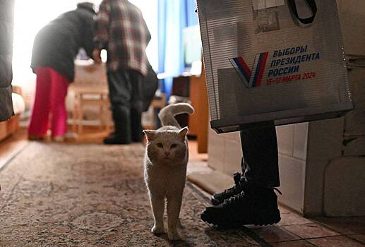 В Госдуме призвали лишить права голоса не участвующих в выборах россиян
