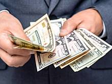 Экономист предостерег от замены доллара другой иностранной валютой