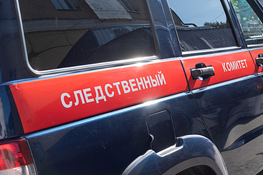 Пытавшие многодетную мать полицейские избежали наказания в четвертый раз