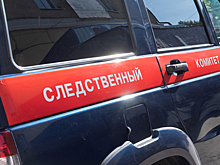 Пытавшие многодетную мать полицейские избежали наказания в четвертый раз
