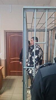 Блогера Андрея Лысенко отправили в СИЗО до 20 апреля