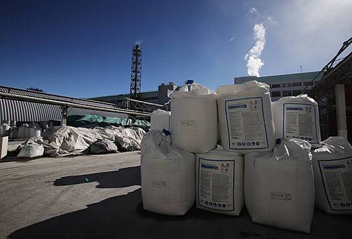 Названы главные покупатели удобрений у России