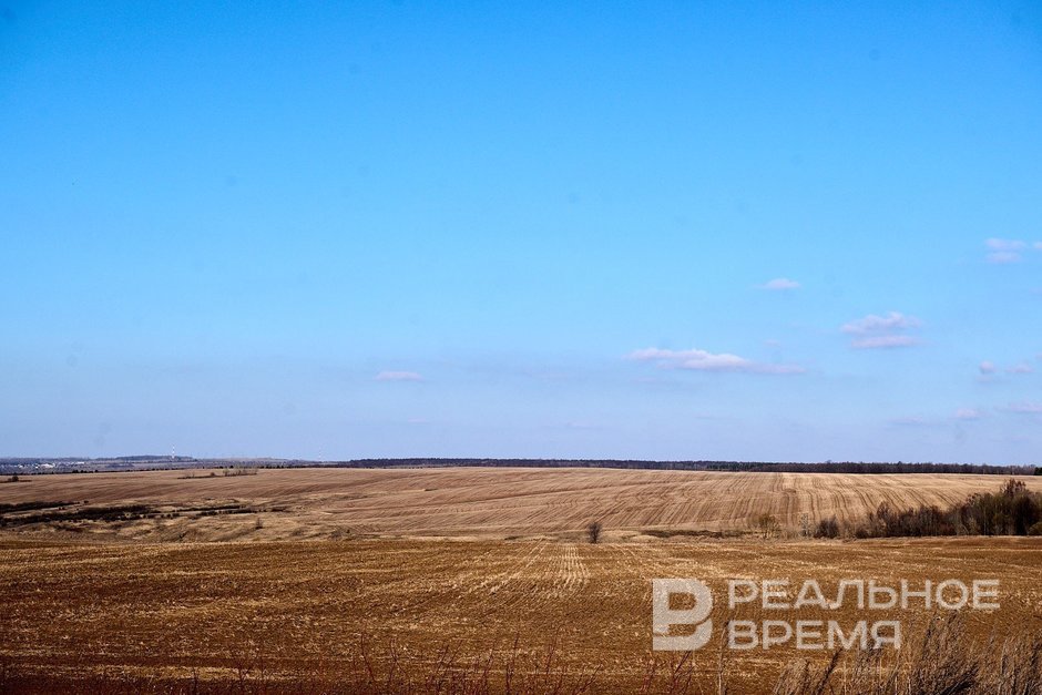 МЧС: переувлажнение почвы угрожает татарстанскому урожаю
