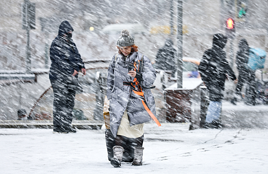 «Первый пошел!» Как москвичи пережили первый большой снегопад осени