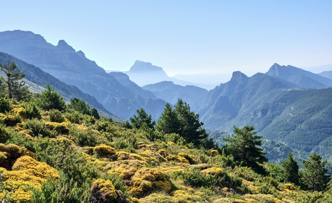 Археологи нашли древнейшую стрелу в ребре скелета из гробницы в Пиренеях