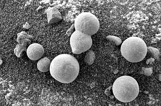 НАСА обнаружило грибы на Марсе