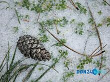 ИИ-синоптик: В Ростове ожидается хмурая погода без солнца