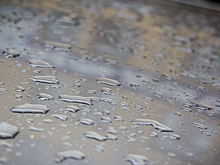 Три человека пострадали из-за грозы и ливня в Ленобласти