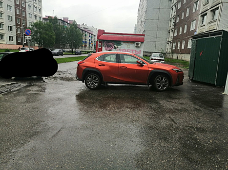 "Новогодние олени": кузбассовец возмутился мешавшей проезду машиной