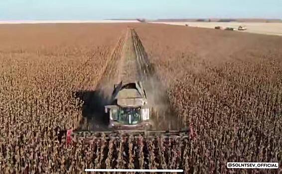 В Оренбуржье собрано 28% урожая подсолнечника