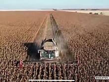 В Оренбуржье собрано 28% урожая подсолнечника