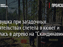 Легковушка при загадочных обстоятельствах слетела в кювет и врезалась в дерево на "Скандинавии"