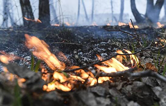 В Хакасии зарегистрировали первый лесной пожар