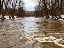 В Красноярском крае могут ввести режим ЧС из-за вышедшей из берегов реки