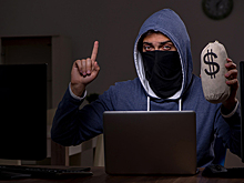 F.A.C.C.T.: доходы кибермошенников уменьшились